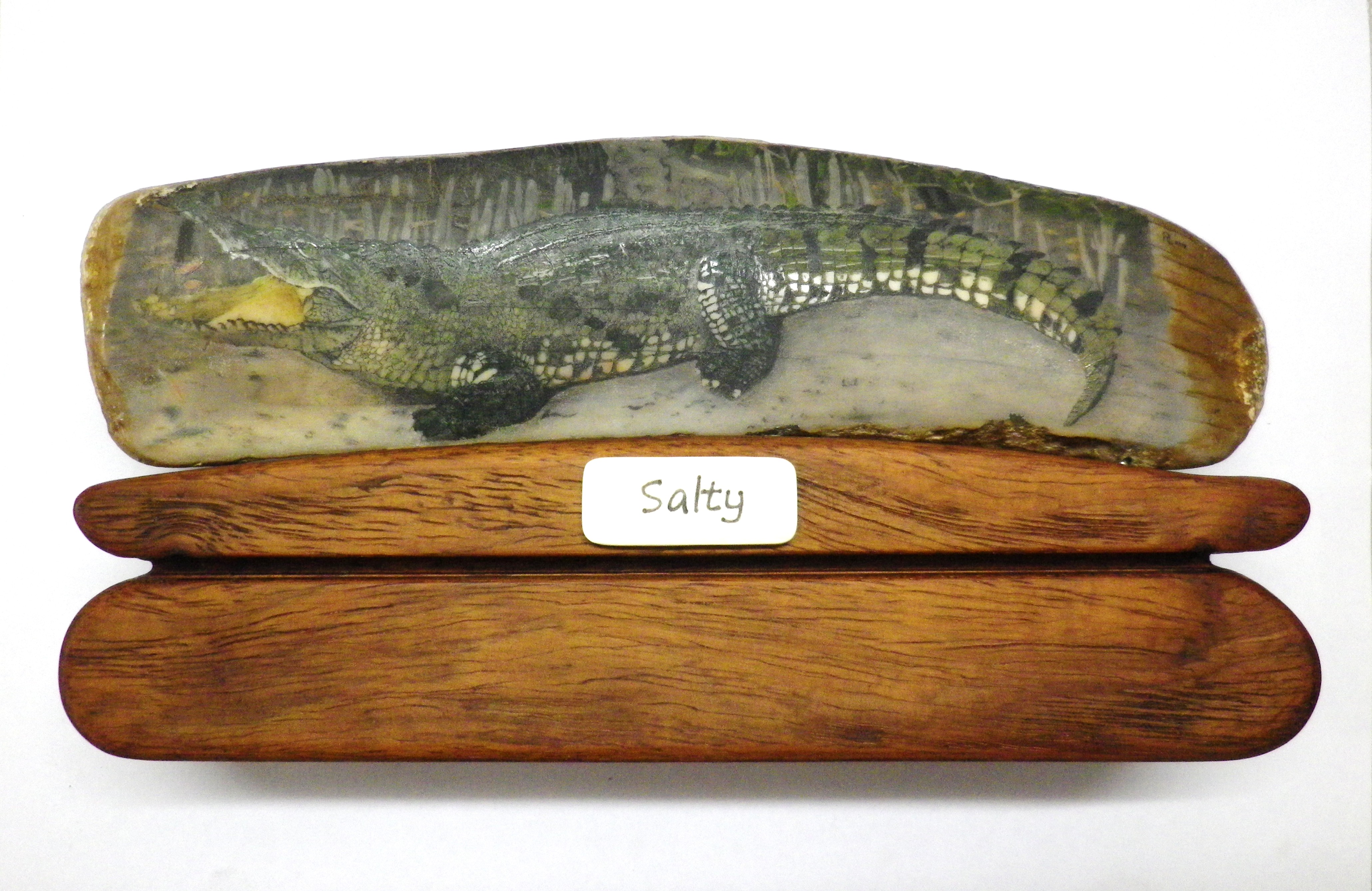 Salty Scrimshaw Finished