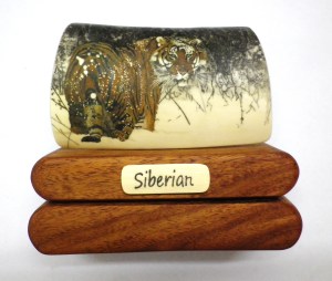 Siberian Tiger Scrimshaw Finished