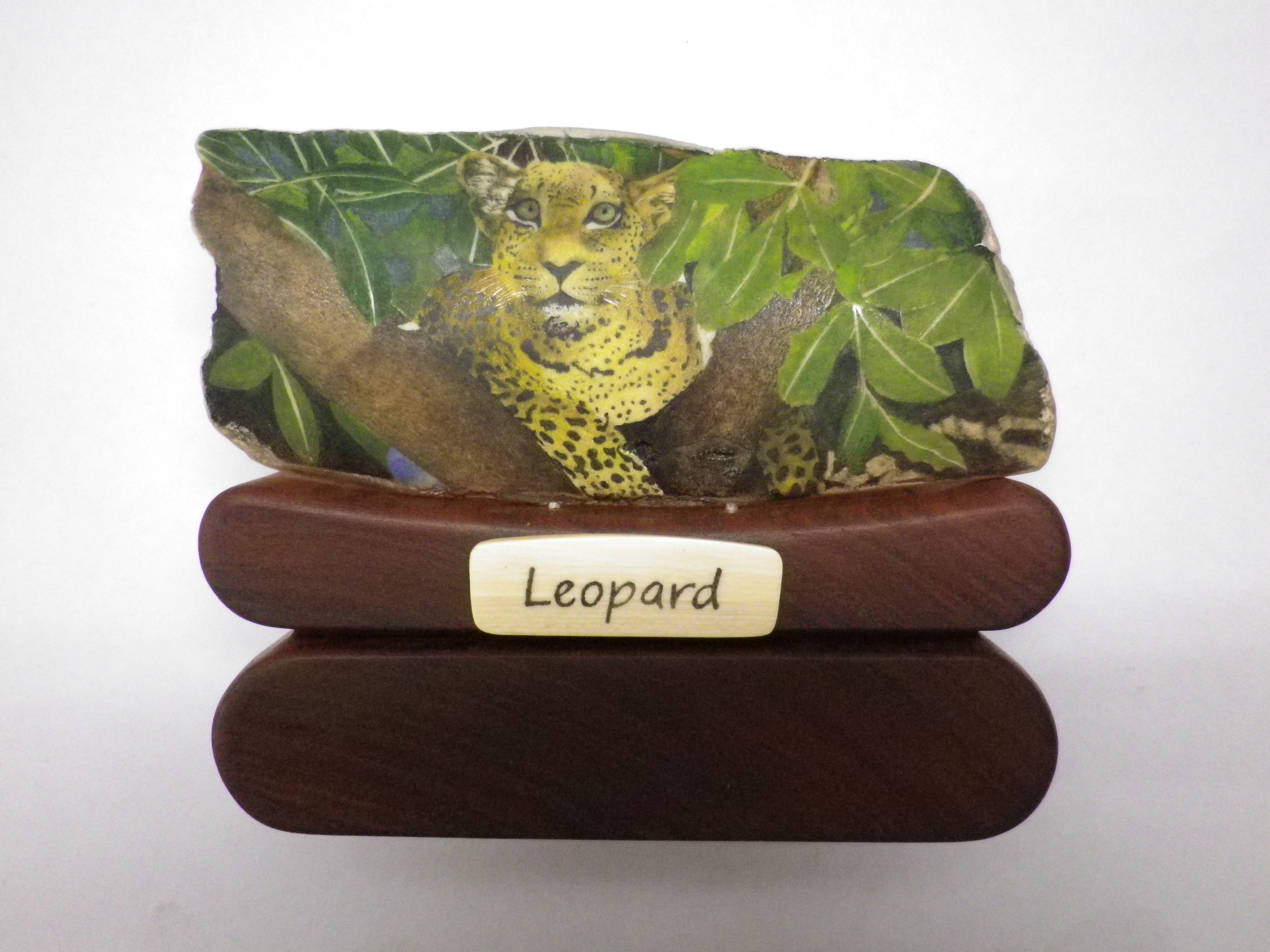Leopard Scrimshaw Finished