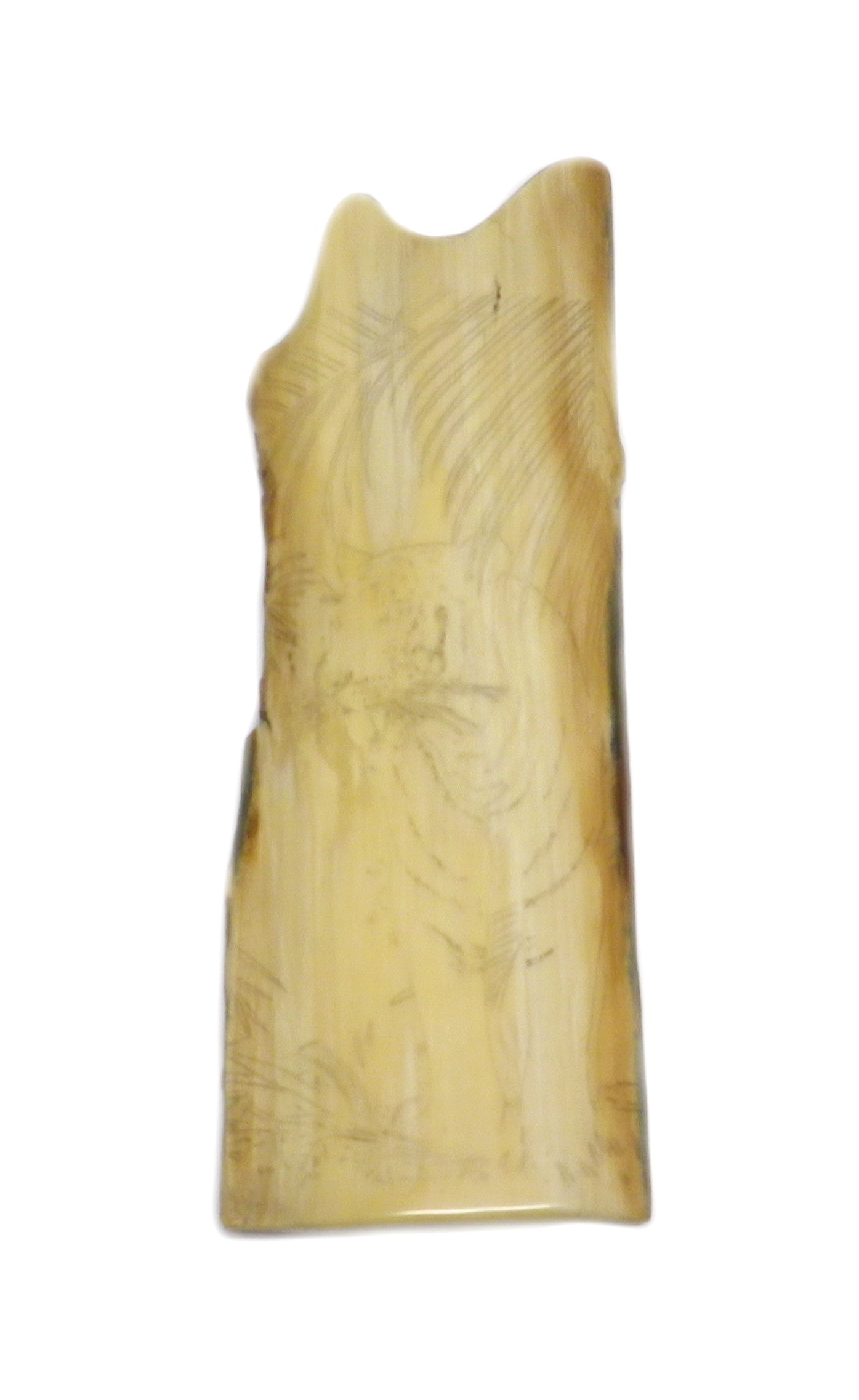 Ivory With Outline Cut