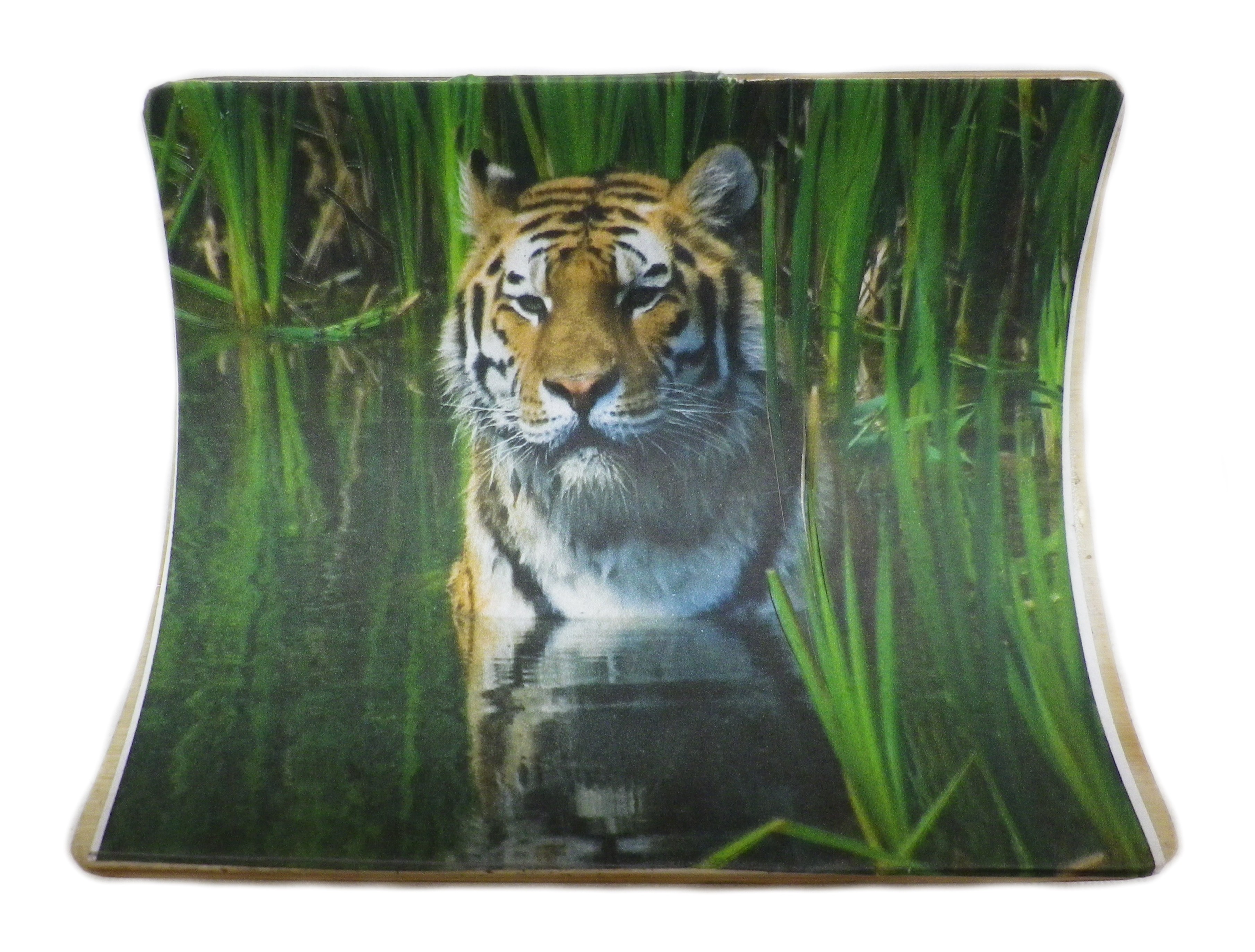 Ivory With Image Attached