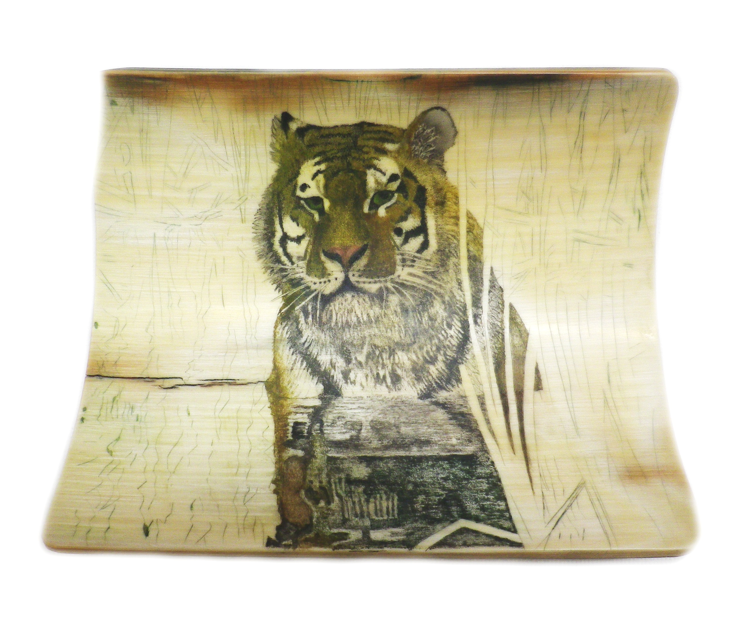 Colour Added to Tiger