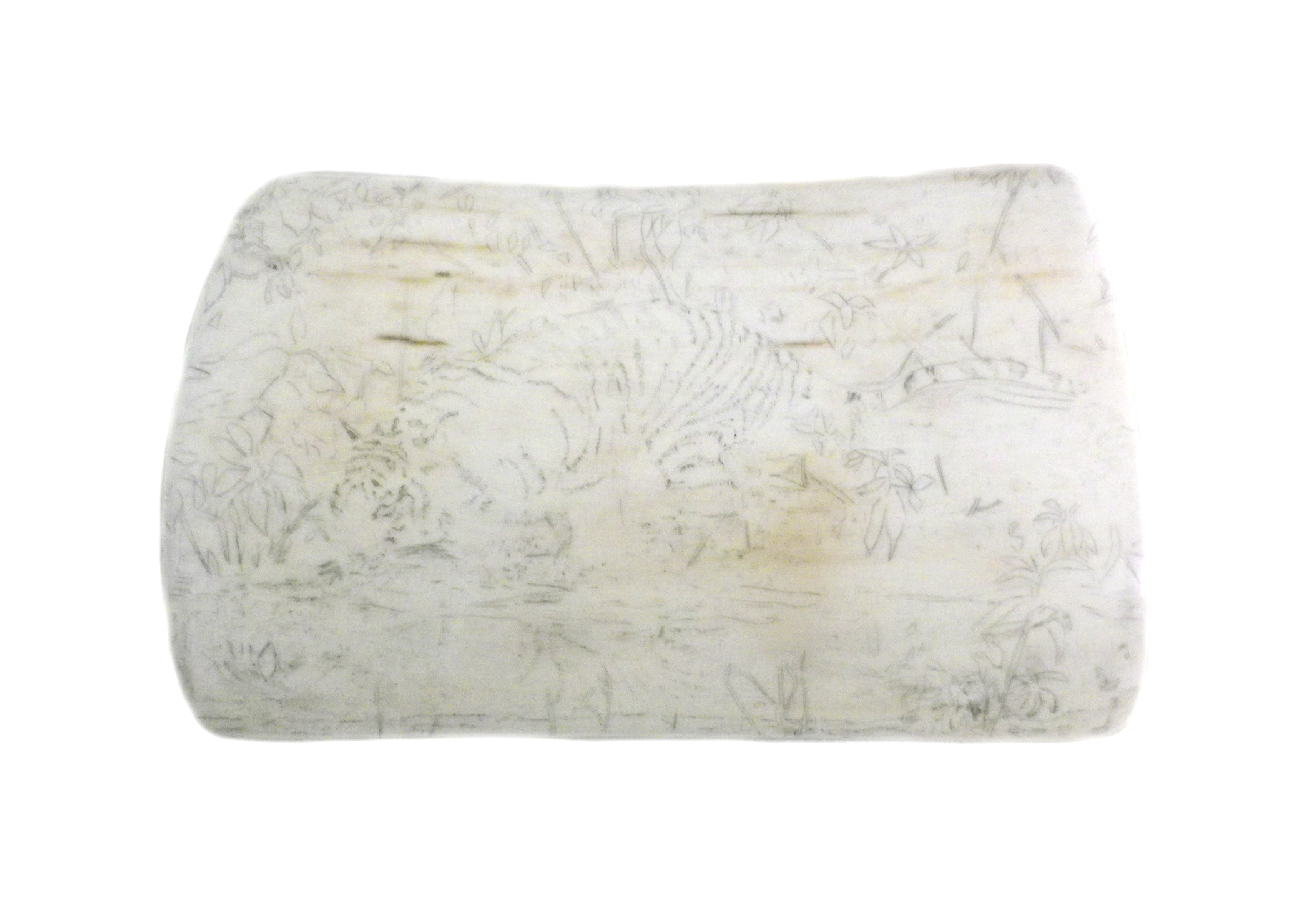 Ivory With Outline Etched