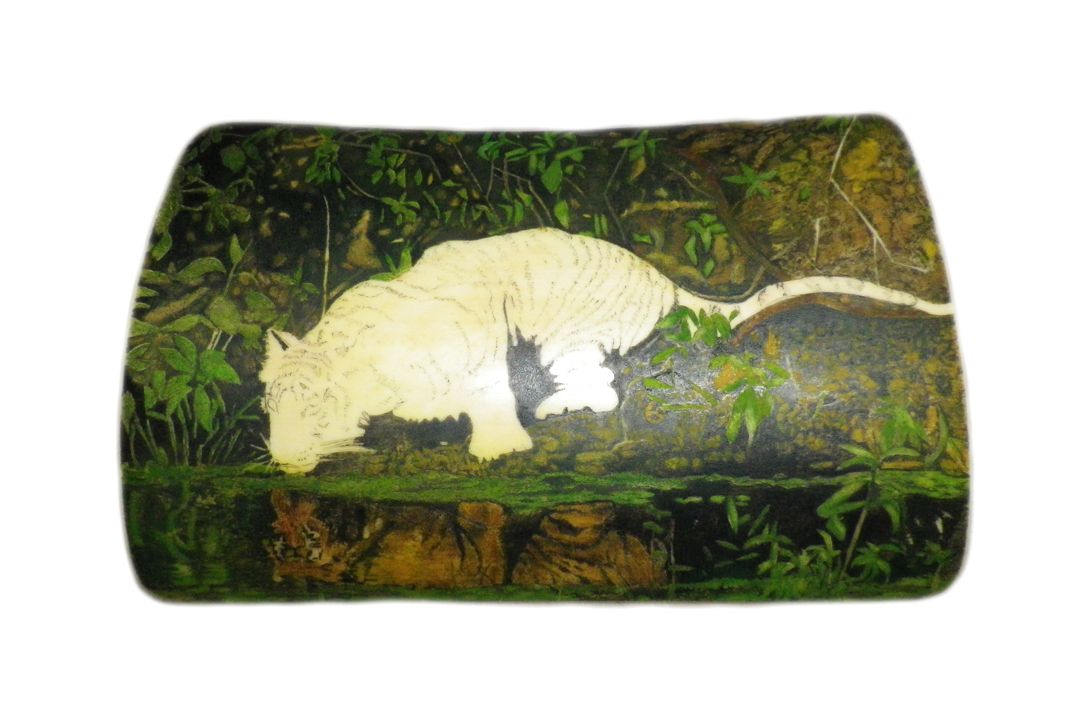 Tiger Reflection Added