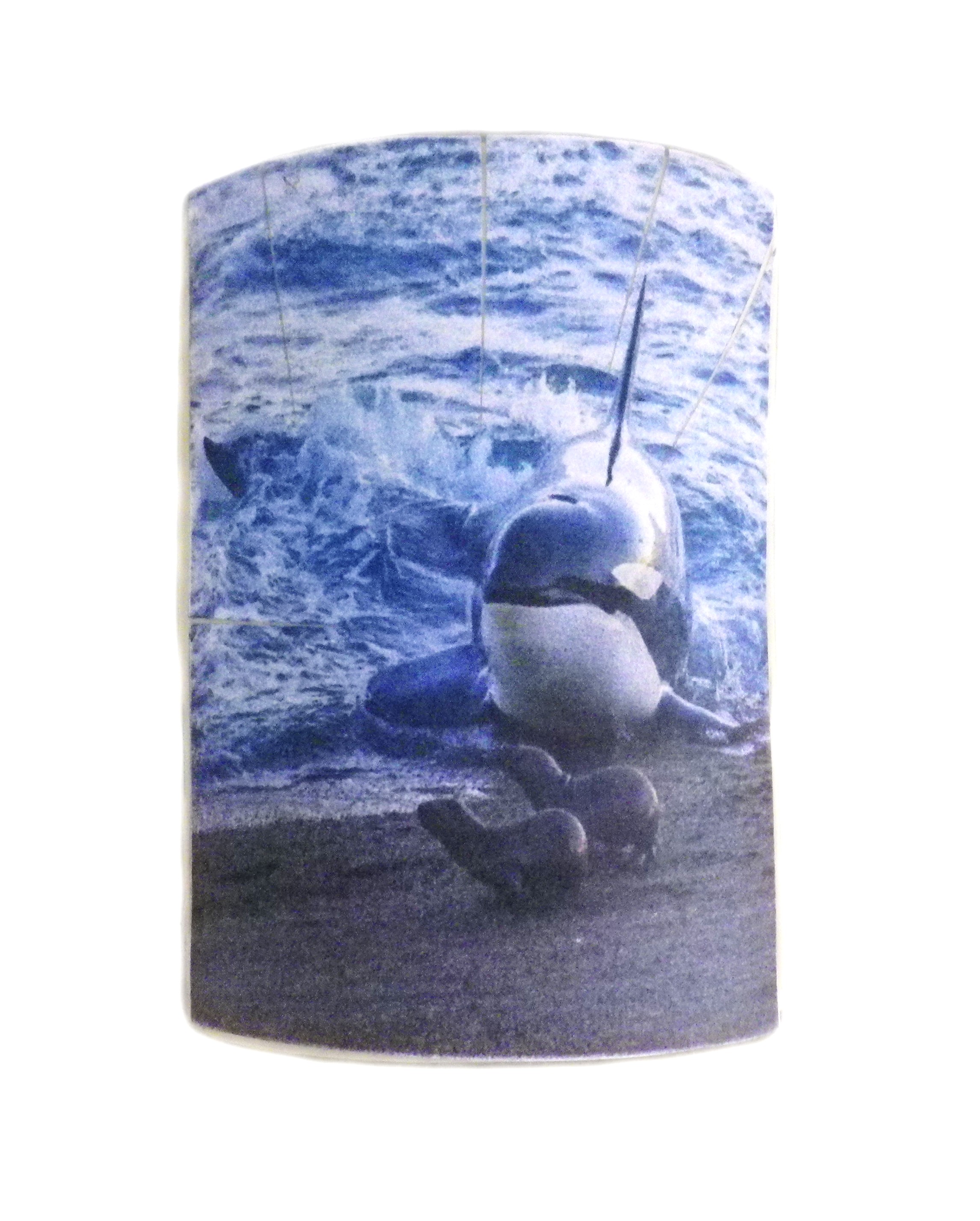 Ivory With Image Attached