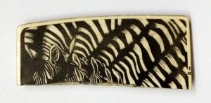 Zebras Scrimhsaw