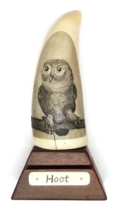 Hoot Finished Scrimshaw